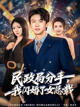 民政局分手，我闪婚了女总裁