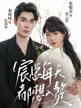 宸总每天都想入赘