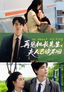 再见机长先生夫人已读不回