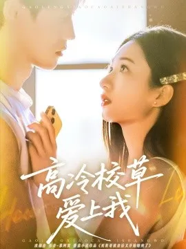 高冷校草爱上我
