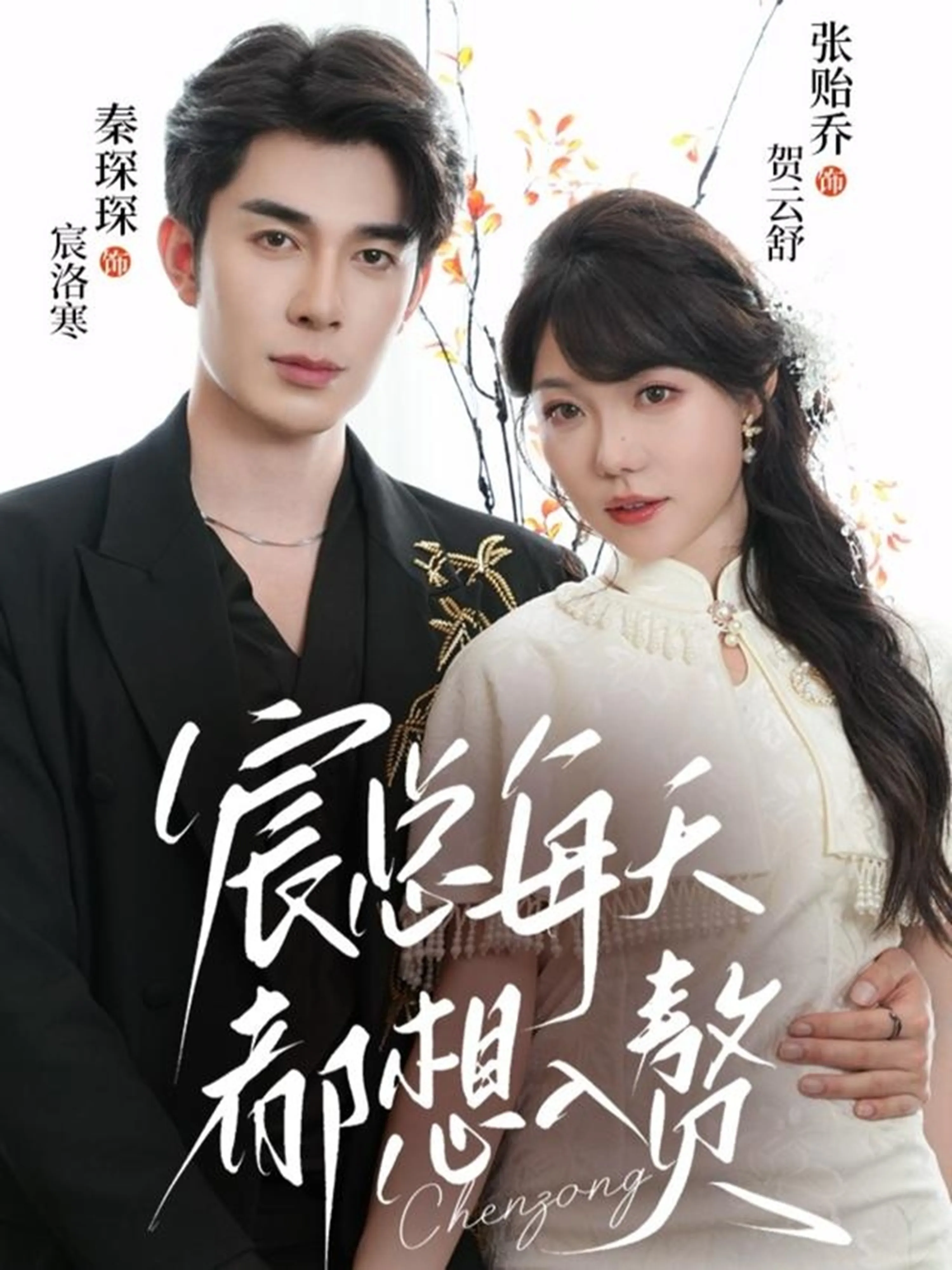 宸总每天都想入赘