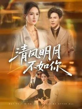 清风明月不如你