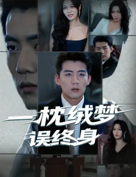 一枕绒梦误终身