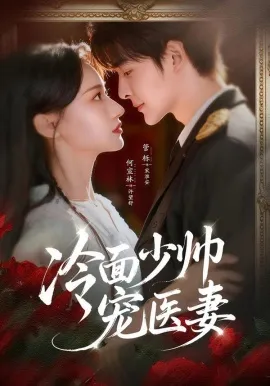 冷面少帅宠医妻