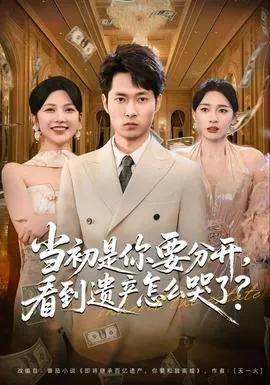 当初是你要分开，看到遗产怎么哭了？