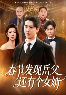 春节发现岳父还有个女婿