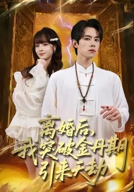 离婚后，我突破金丹期，引来天劫