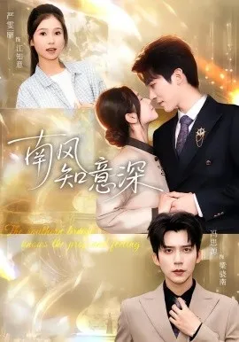南风知意深