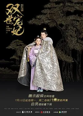 双世宠妃[电影解说]