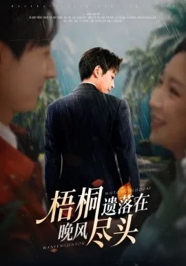 梧桐遗落在晚风尽头